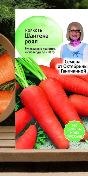 Морковь Шантенэ Роял От Октябрины Ганичкиной 2 г