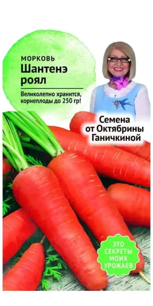 Морковь Шантенэ Роял От Октябрины Ганичкиной 2 г