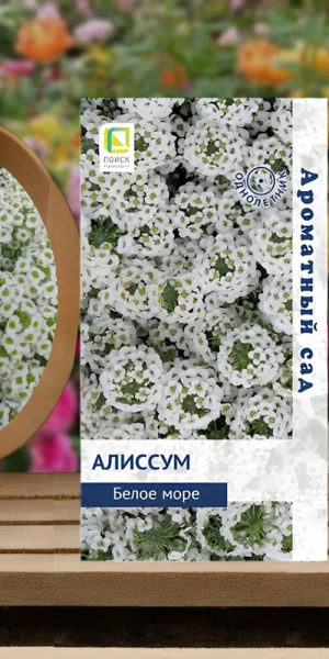 Алиссум Белое море Поиск 0,1 г