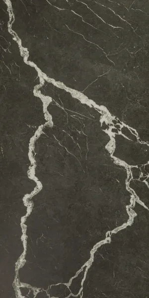 Керамогранит Coliseum Gres Michelangelo dark 1200х600х9 мм (2 шт.=1,44 кв.м)