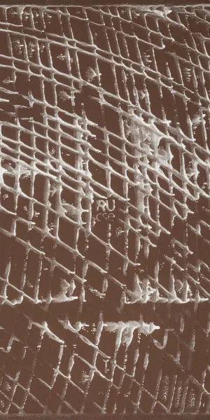 Керамогранит Lavelly Skandi Marble белый 420х420х8 мм (9 шт.=1,587 кв.м)