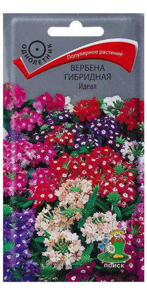 Вербена гибридная Идеал Поиск 1 г