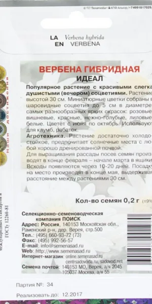 Вербена гибридная Идеал Поиск 1 г