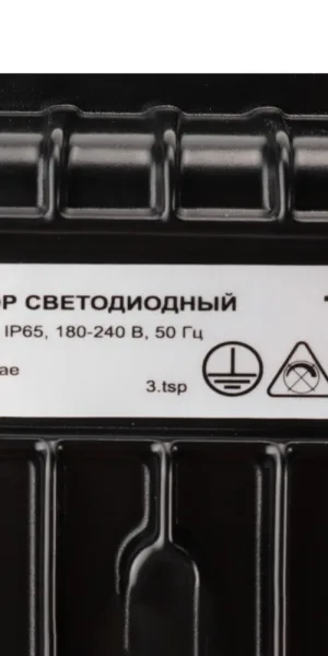 Прожектор светодиодный Ritter Profi 6500К 100 Вт IP65 черный