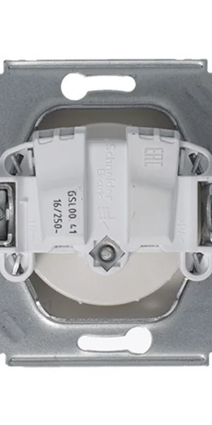 Розетка Systeme Electric Glossa встраиваемая платина (GSL001243)
