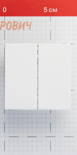 Выключатель Systeme Electric ArtGallery двухклавишный встраиваемый белый (GAL000151)