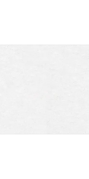 Керамогранит Delacora Absolute белый матовый 1200х600х9,5 мм (2 шт.=1,44 кв.м)