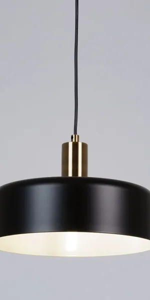 Светильник подвесной Arte Lamp Skat E27 60 Вт 2 кв.м черный IP20 (A7052SP-1BK)