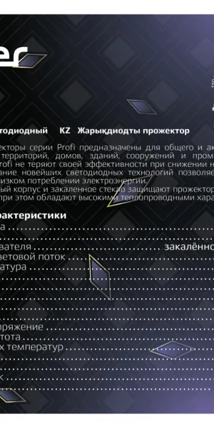 Прожектор светодиодный Ritter Profi 6500K 70 Вт IP65 черный