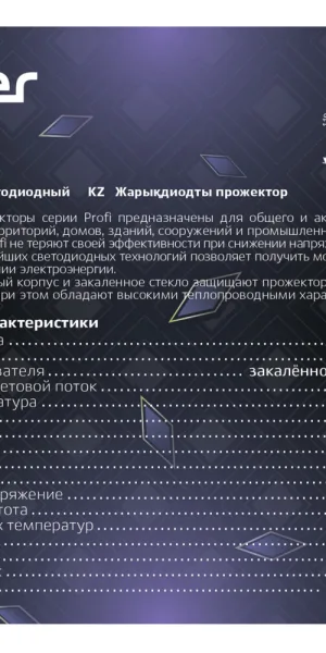 Прожектор светодиодный Ritter Profi 6500K 50 Вт IP65 черный
