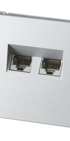 Розетка компьютерная Systeme Electric ArtGallery встраиваемая алюминий 2хRJ45 (GAL000388)