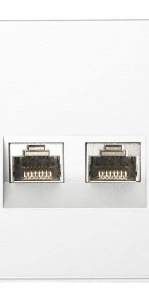 Розетка компьютерная Systeme Electric ArtGallery встраиваемая алюминий 2хRJ45 (GAL000388)