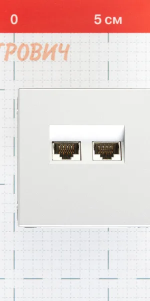 Розетка компьютерная Systeme Electric ArtGallery встраиваемая алюминий 2хRJ45 (GAL000388)