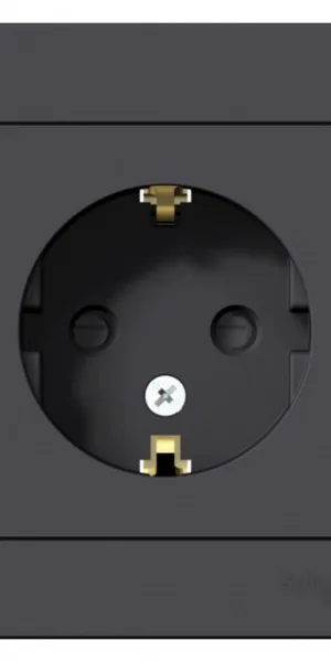 Розетка Systeme Electric AtlasDesign встраиваемая карбон со шторками (ATN001044)