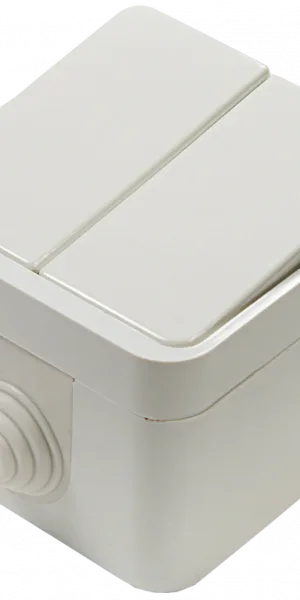 Выключатель AQUA 2кл о/у 3200 IP44 полугерметичный IN HOME 4690612000435