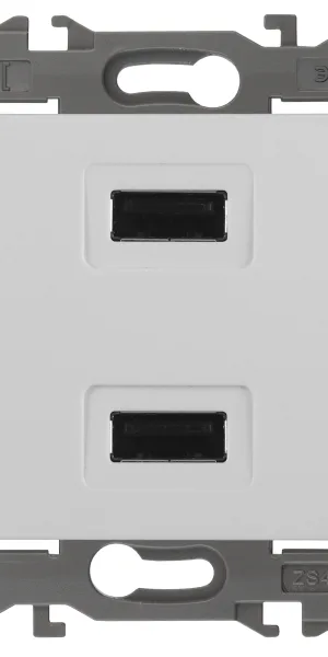 Розетка ЭРА Elegance зарядная, USB 5В-2100мА, IP20 белая 14-4110-01, Б0034358