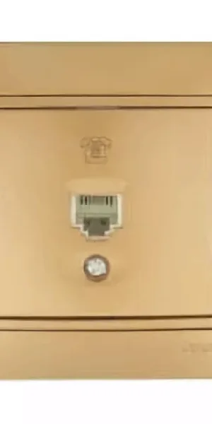 Розетка Лезард ТФ евро С/У крем 701-0303-137