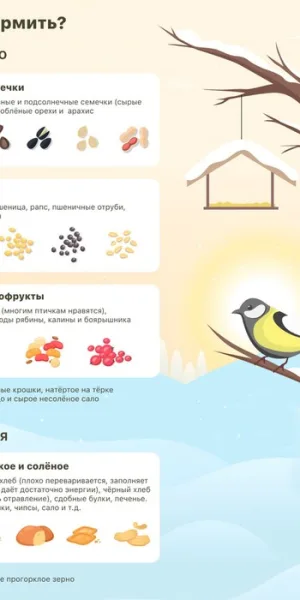 Кормушка для птиц "Терция" 16х18х23см 7602375
