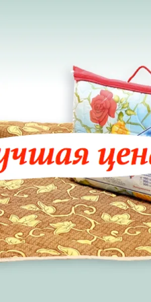 Подушка 50х50см ЭКОНОМ