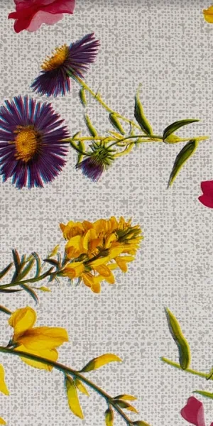 Клеенка FLORISTA 140 см 1715-01