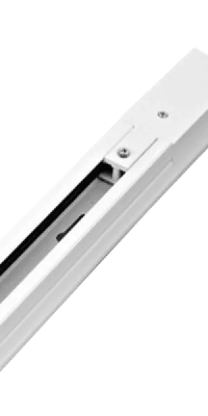 Шинопровод однофазный R-2W-TL 2м TOP-LINE белый IN HOME 4690612029320
