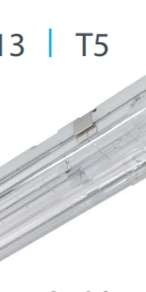 Светильник ЛПО Beghelli 14228 BS113 2x28W IP65 T5, 2х28Вт, ЭРПА