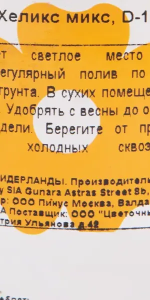 Хедера Хеликс микс 12x20 см