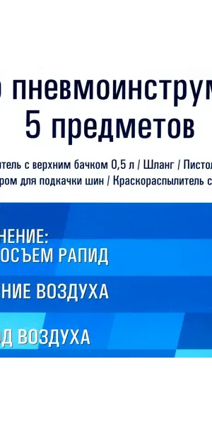 Набор пневмоинструментов Аэрус 5534, 5 предметов