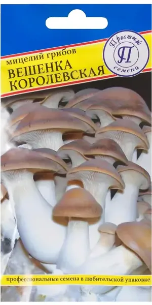 Семена Гриб вёшенка «Королевская»