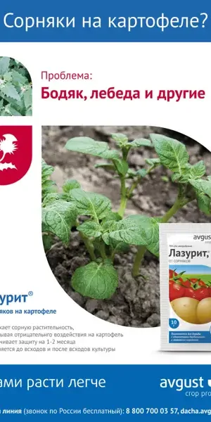 Средство от сорняков «Лазурит» 20 г