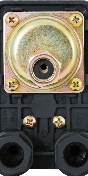 Реле давления Aquabeam 1/4" ВР