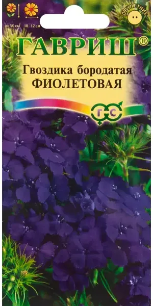 Гвоздика бородатая турецкая Фиолетовая 0.2 г
