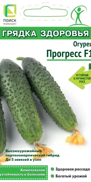 Огурец Прогресс F1 12 шт.
