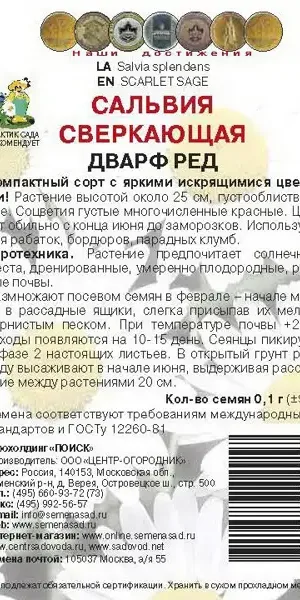 Семена цветов Поиск сальвия сверкающая Дварф Ред
