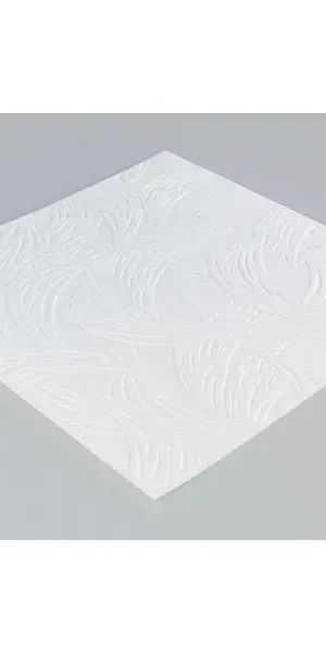 Плитка потолочная штампованная полистирол белая Format 719 50 x 50 см 2 м²