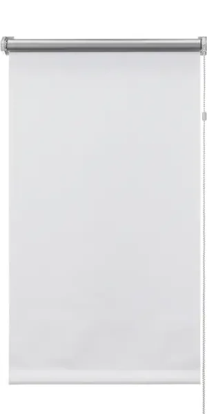 Штора рулонная Silverback 55x160 см белая