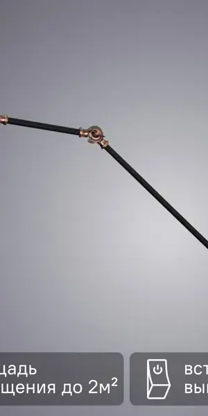 Настенный светильник Arte Lamp Braccio цвет черный