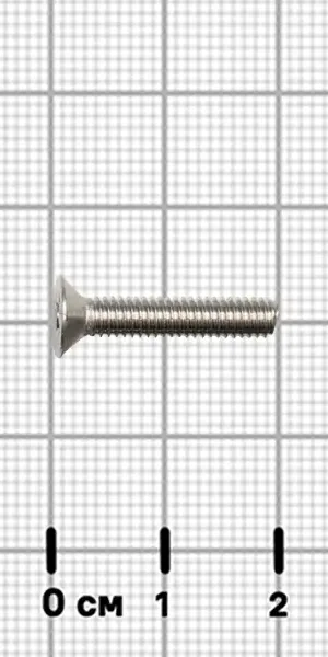 Винт DIN 965 нержавеющая сталь А2 4x20 мм 24 шт.