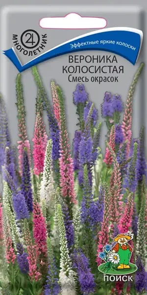 Семена цветов Поиск вероника колосистая микс