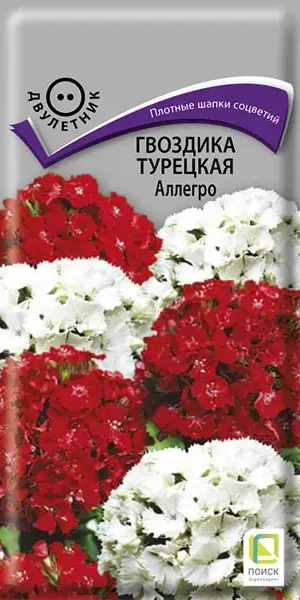 Семена цветов Поиск гвоздика турецкая Аллегро