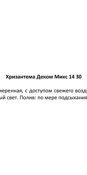 Хризантема деко микс 3рр d14 h30