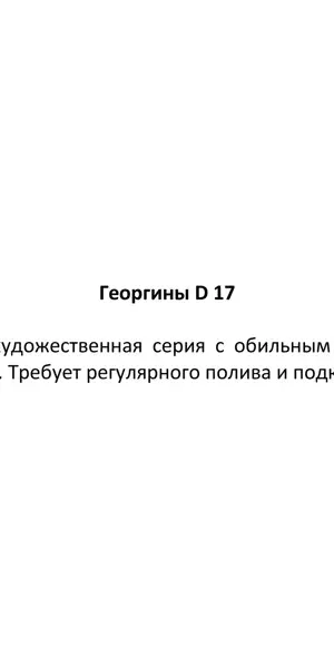 Георгин черенкованный 17x17 см