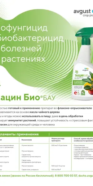 Биоинсектицид с диффузором для защиты от болезней Avgust Био Бау 500 мл