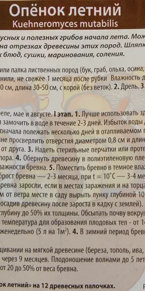Семена Гриб опёнок летний «Мицелий» на древесном носителе