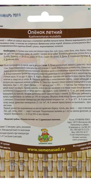 Семена Гриб опёнок летний «Мицелий» на древесном носителе