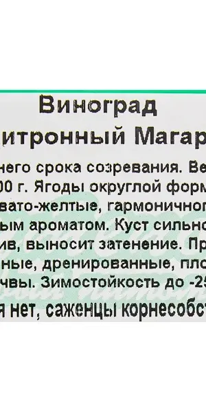 Виноград плодовый C2, h20-30 см, 2 года, контейнер