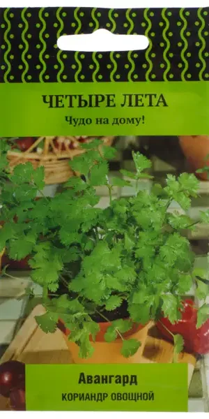 Семена Кориандр «Авангард»