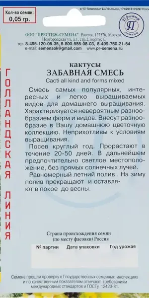 Кактусы «Забавная смесь»