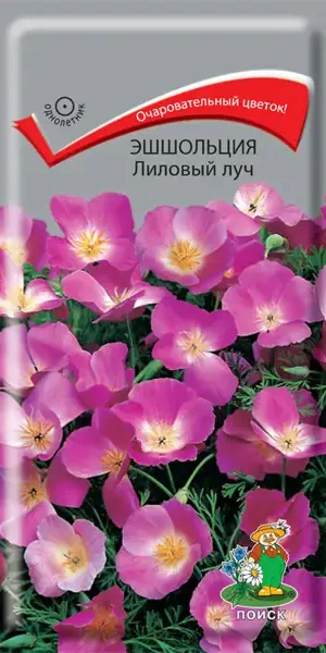 Семена Эшшольция «Лиловый луч»
