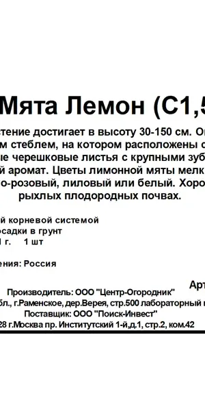 Мята Лемон ø15 h20 см
